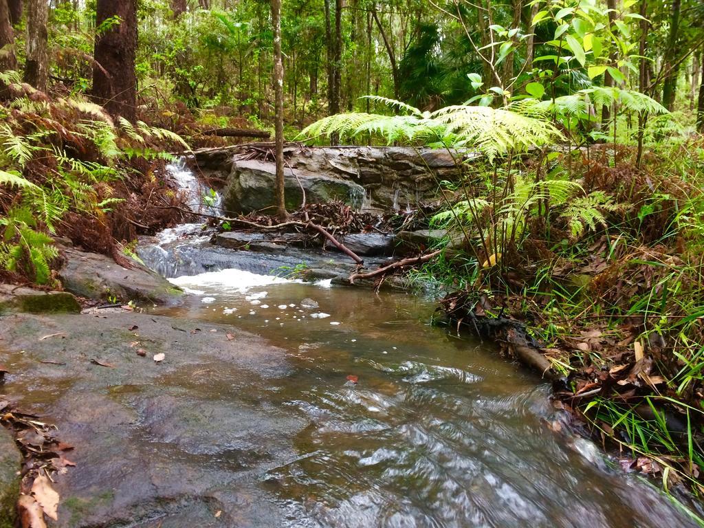 Noosa Hinterland Retreat Apartment Tinbeerwah Exterior photo